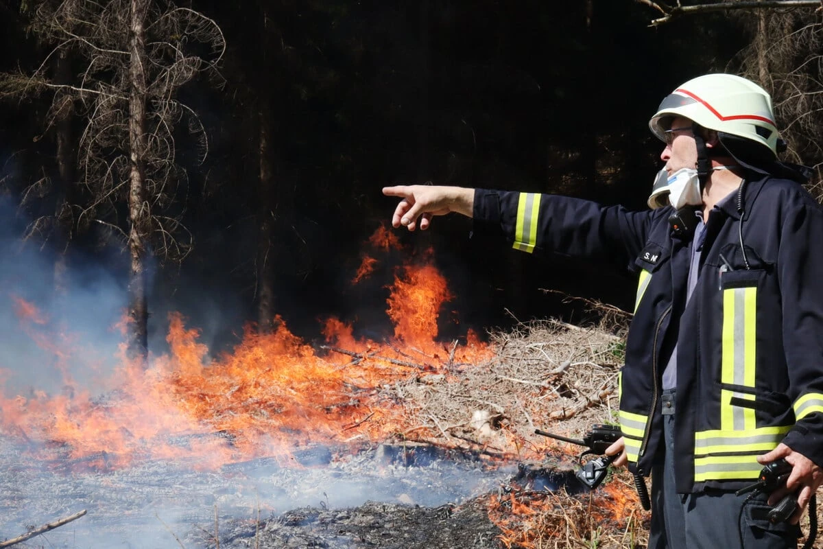 Brisanter Verdacht nach Waldbrand-Serie in NRW: Haben Feuerwehrleute die Brände gelegt?