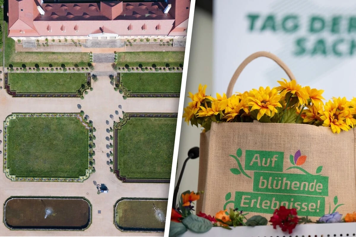 Volles Programm am Sonntag: Unsere Tipps für Dresden und Umgebung