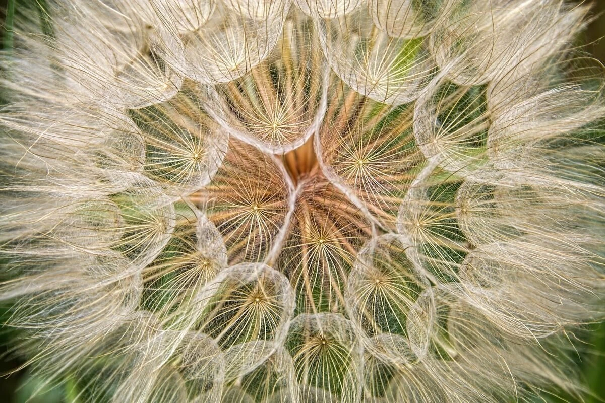 Horoskop heute: Tageshoroskop kostenlos für den 31.8.2025