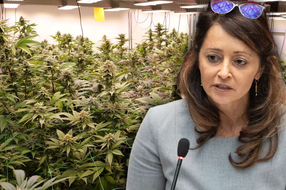 CDU-Politikerin will Cannabis-Legalisierung wieder abschaffen: 