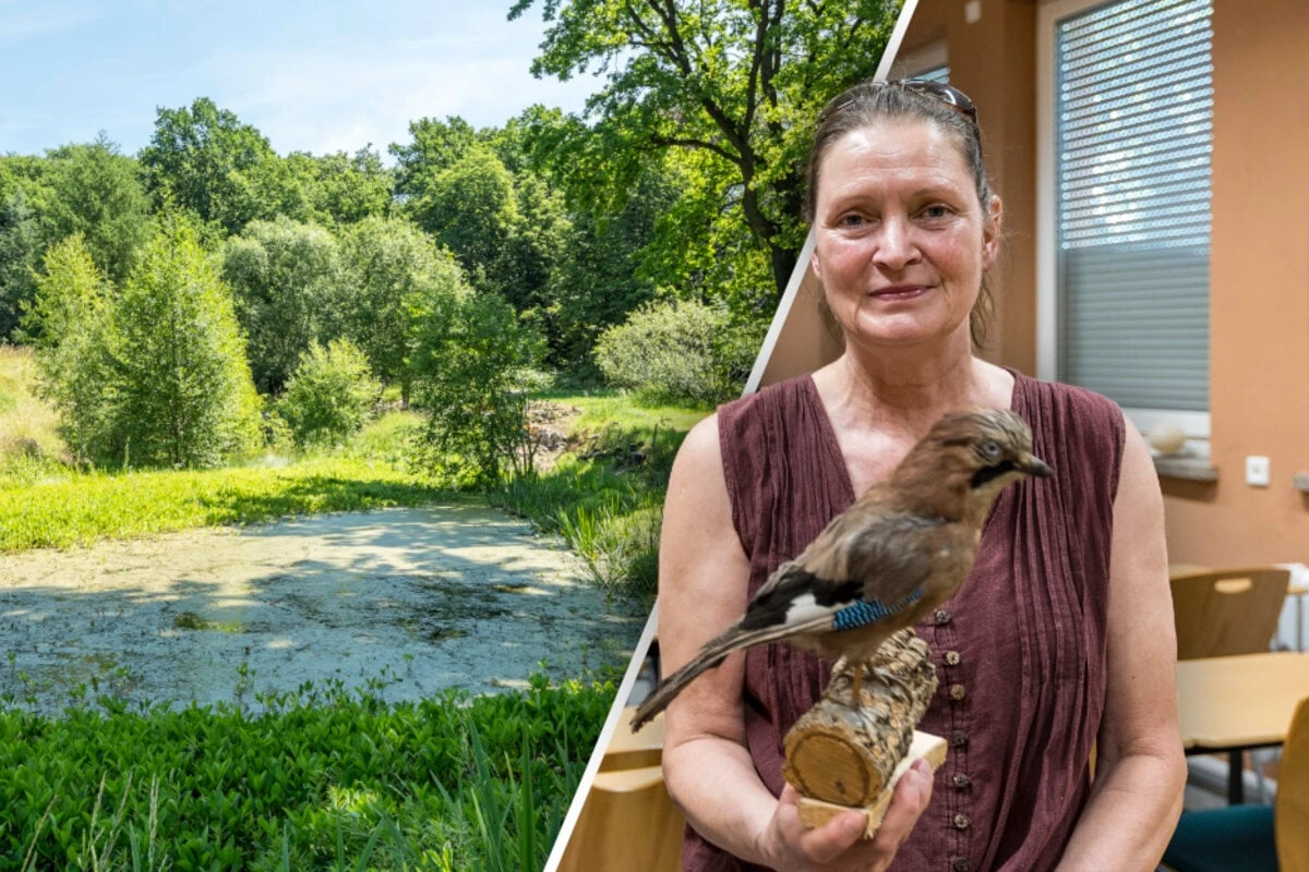 Generalsanierung: Neue Hoffnung für Botanischen Garten in Chemnitz