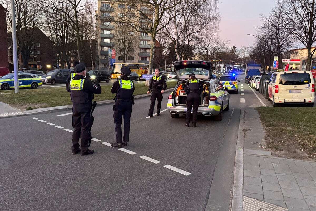 Autofahrer flieht vor Kontrolle: Zwei Polizisten verletzt