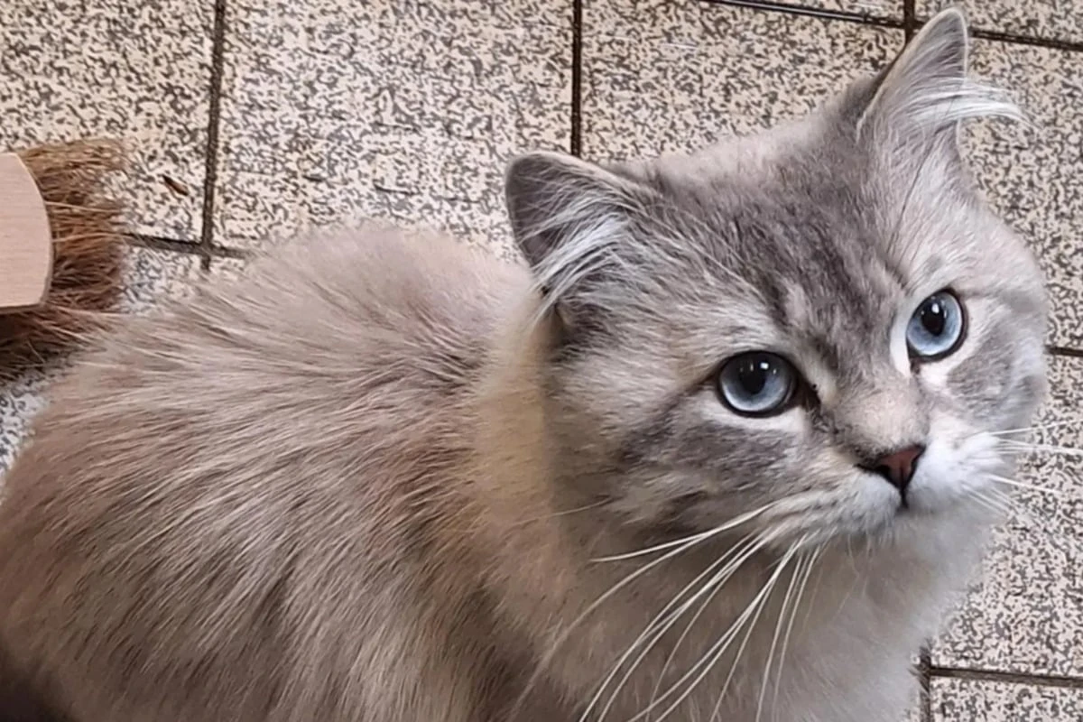 Er hat zwei Menschen schwer verletzt: Milow hofft trotzdem auf ein Happy End