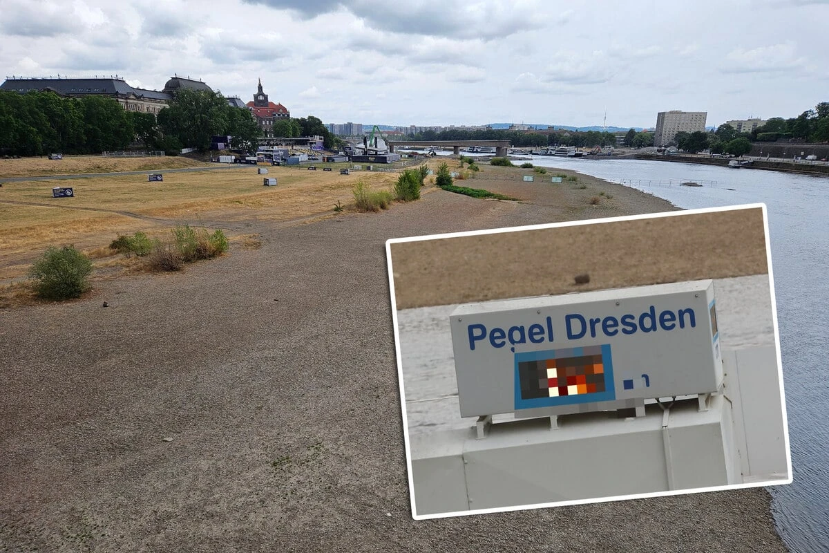 Elbpegel wieder leicht am Klettern, nur das Baggerschiff kann noch nicht arbeiten