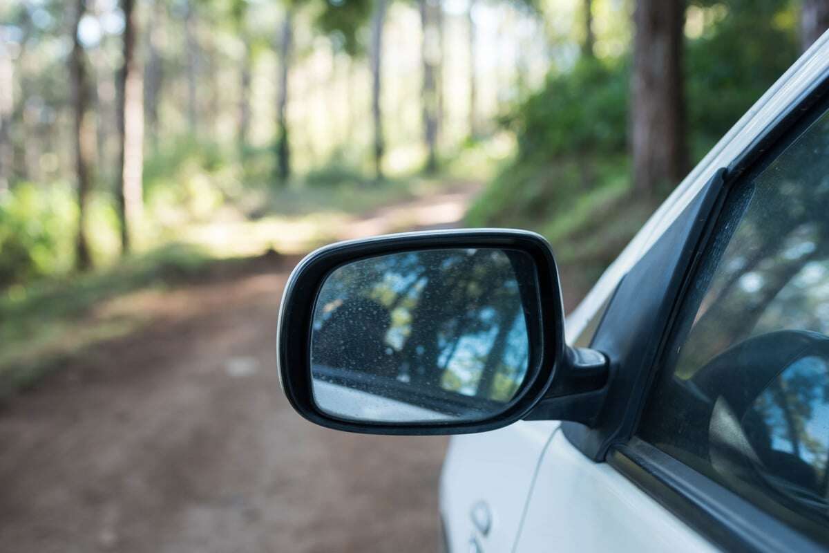 Mädchen mit vorgehaltenem Messer an der Dresdner Heide vergewaltigt? Sex-Täter in U-Haft