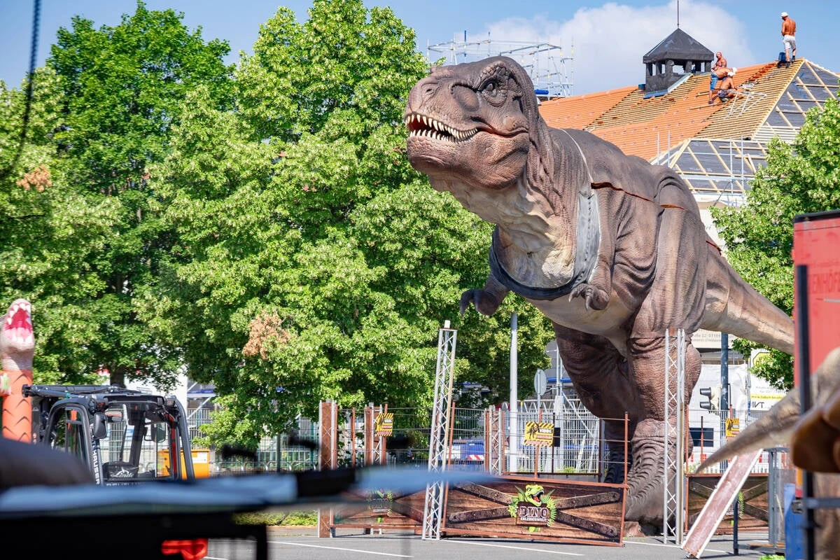 Dem T-Rex direkt in die Augen sehen: Urzeit-Riesen erobern Dresdner Messe