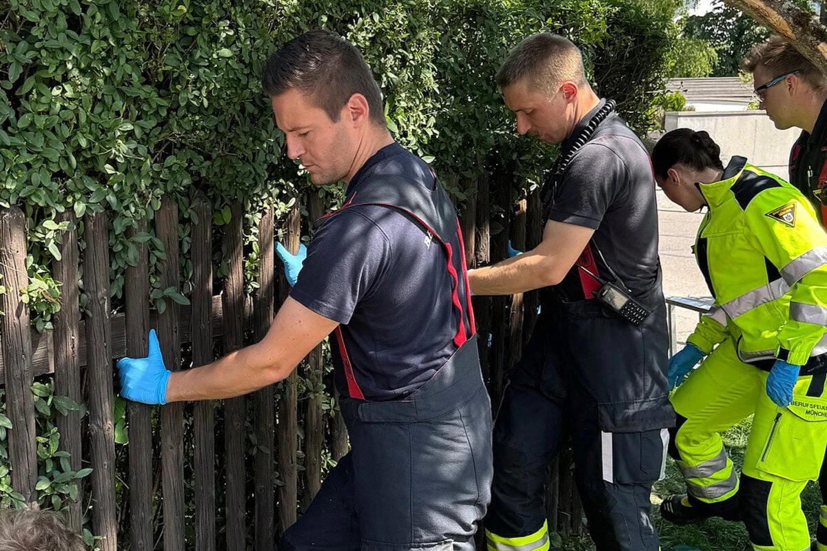 Senior kracht beim Heckeschneiden von Leiter – und steckt in Zaun-Falle fest