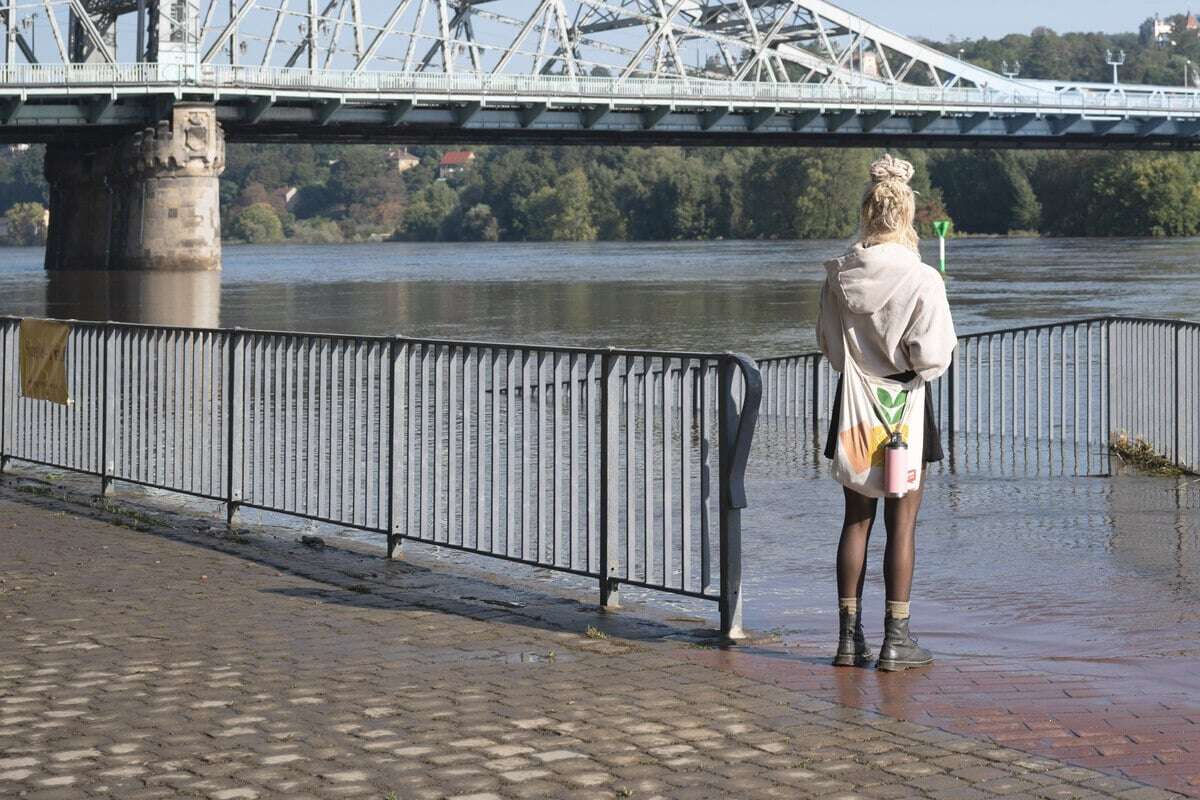 Hochwasser in Dresden: Elbe schwillt langsam ab - Nur noch Alarmstufe 1