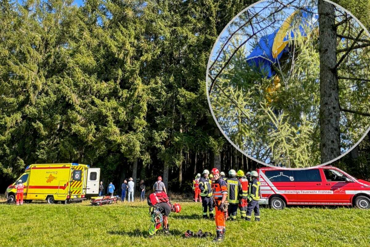 Erzgebirge: Fallschirmspringer in Baumkrone gefangen!