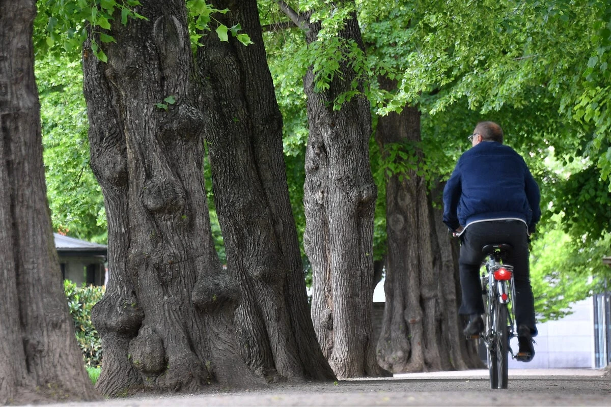 10. Kölner Stadtradeln endet mit einem neuen Rekordergebnis