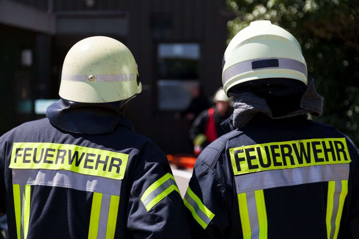 Feuer in Hamburg! Schon wieder brennt eine Lagerhalle