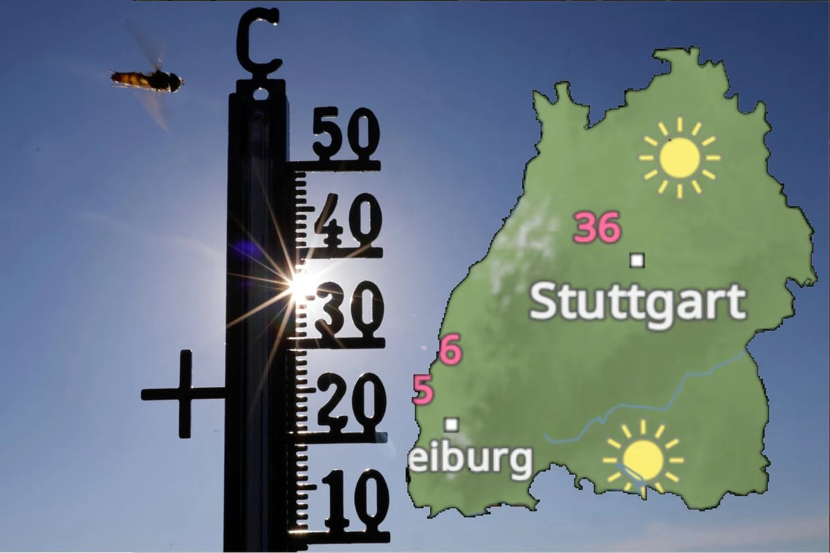 Bis zu 42 Grad! Wird ein neuer Hitzerekord erreicht?