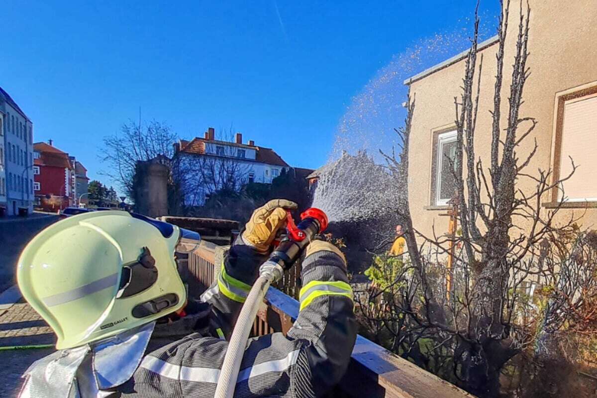 Hecke durch Böller in Brand gesetzt