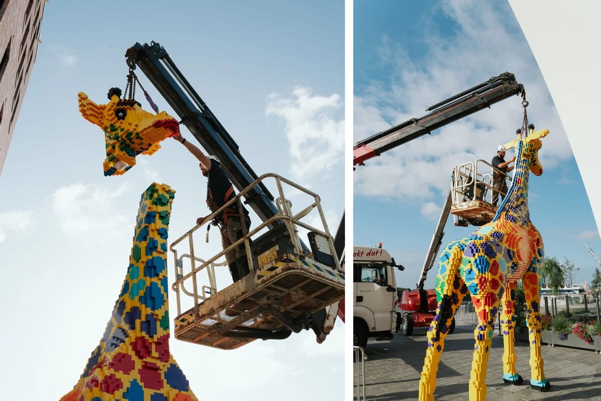 Aufsehen in der HafenCity: XXL-Giraffe zieht als Maskottchen ein