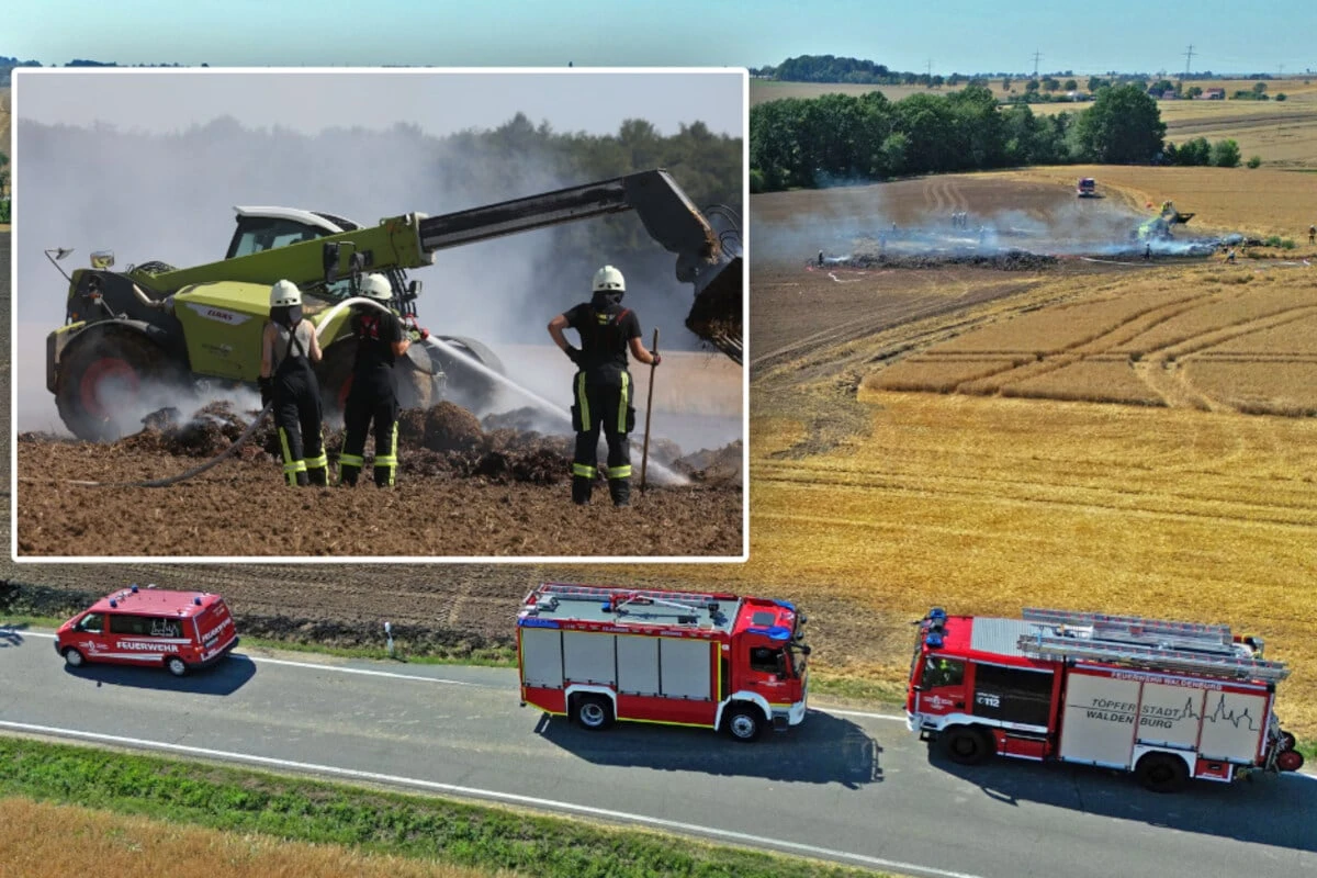 Stoppelfeld-Brand in Sachsen: Einsatzkräfte können Ernte retten