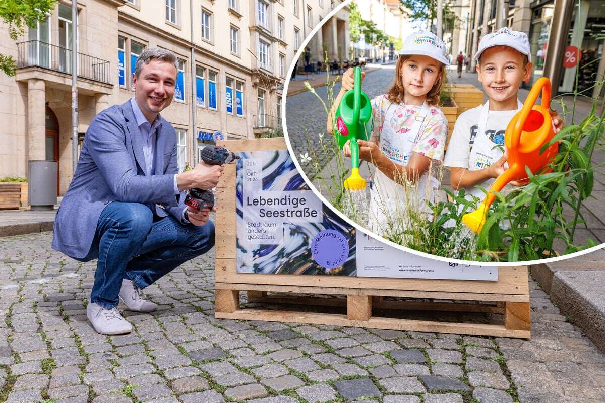 Comeback für Kühns teuren Verkehrsversuch auf der Seestraße