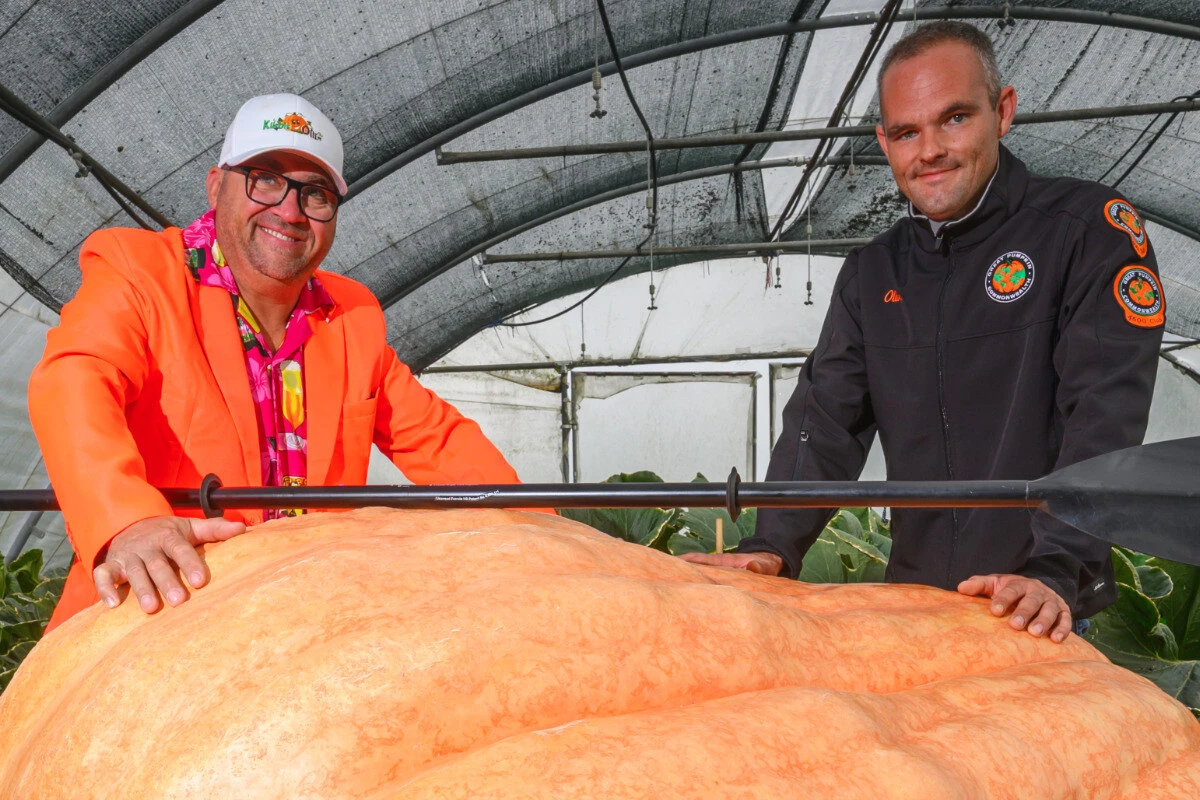 Brandenburger Kürbis-Züchter will 1000-Kilo-Marke knacken: Doch er hat ein Problem