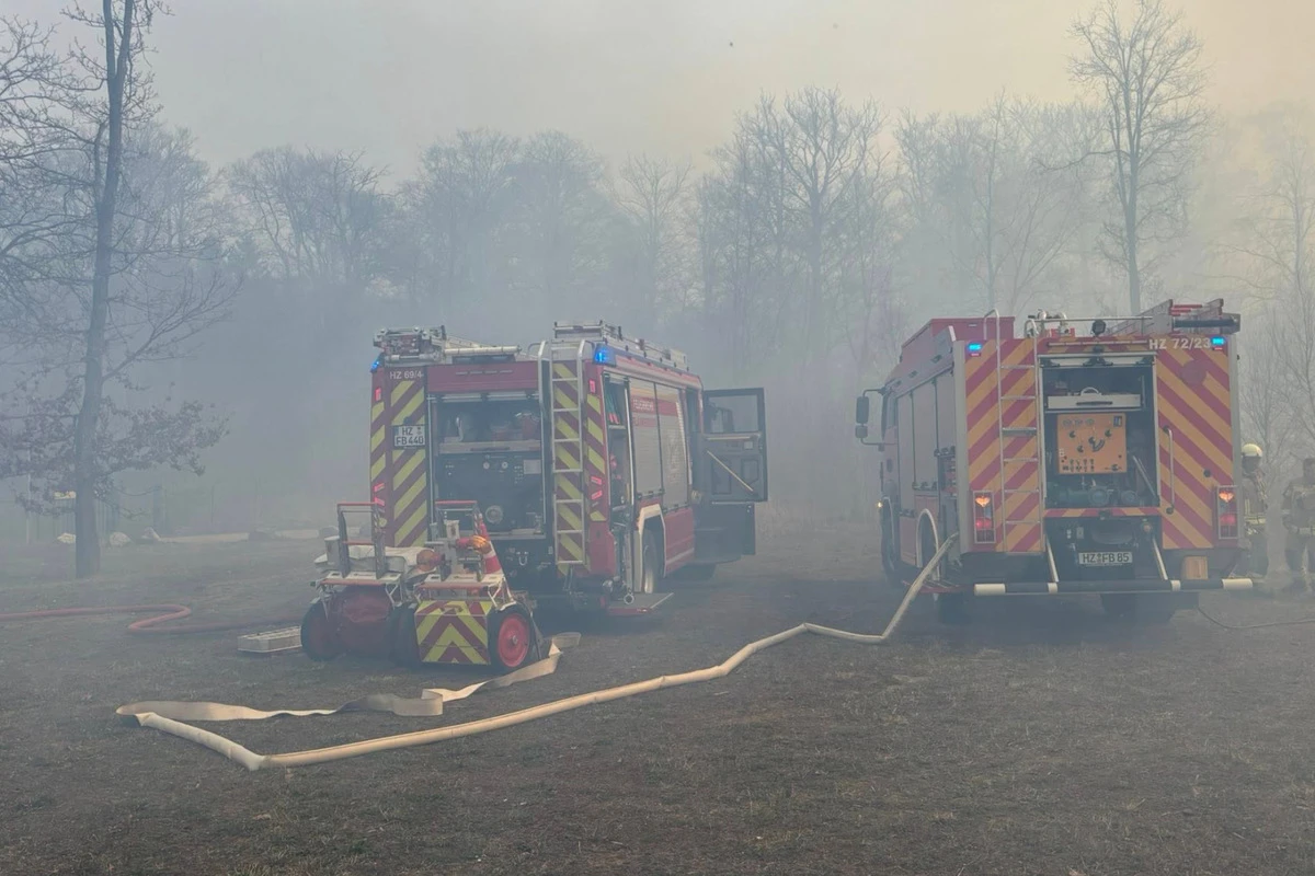 Waldbrand im Harz: Löschflugzeug 