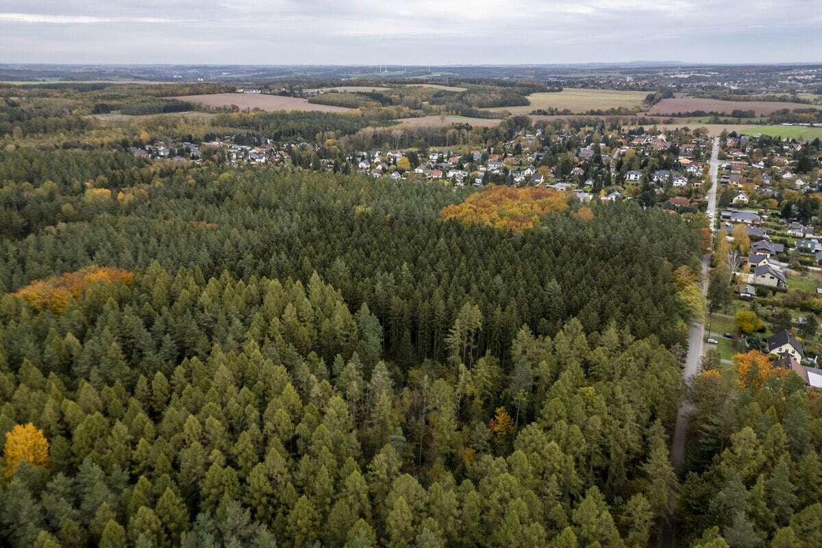 Windräder in sächsischem Schutzgebiet geplant: Anwohner wollen Bau verhindern