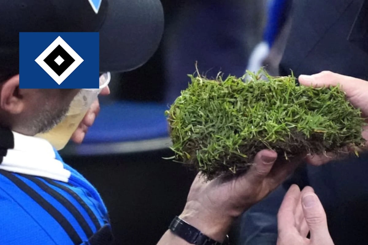 HSV-Rasen wird zum Renner im Netz: 