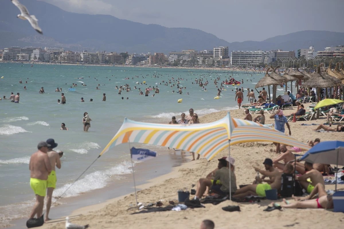 Biss-Attacke auf Mallorca: Urlauberin muss mit schwerer Wunde ins Krankenhaus