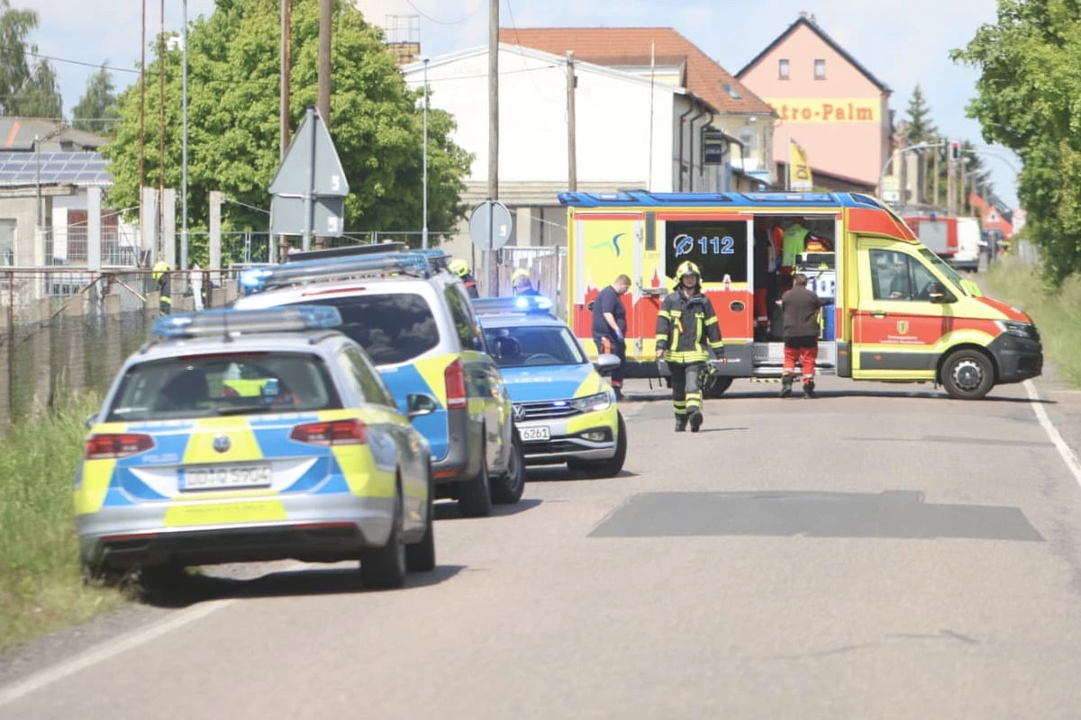 Tigerattacke in Sachsen: PETA gibt Behörden Mitschuld an Vorfall