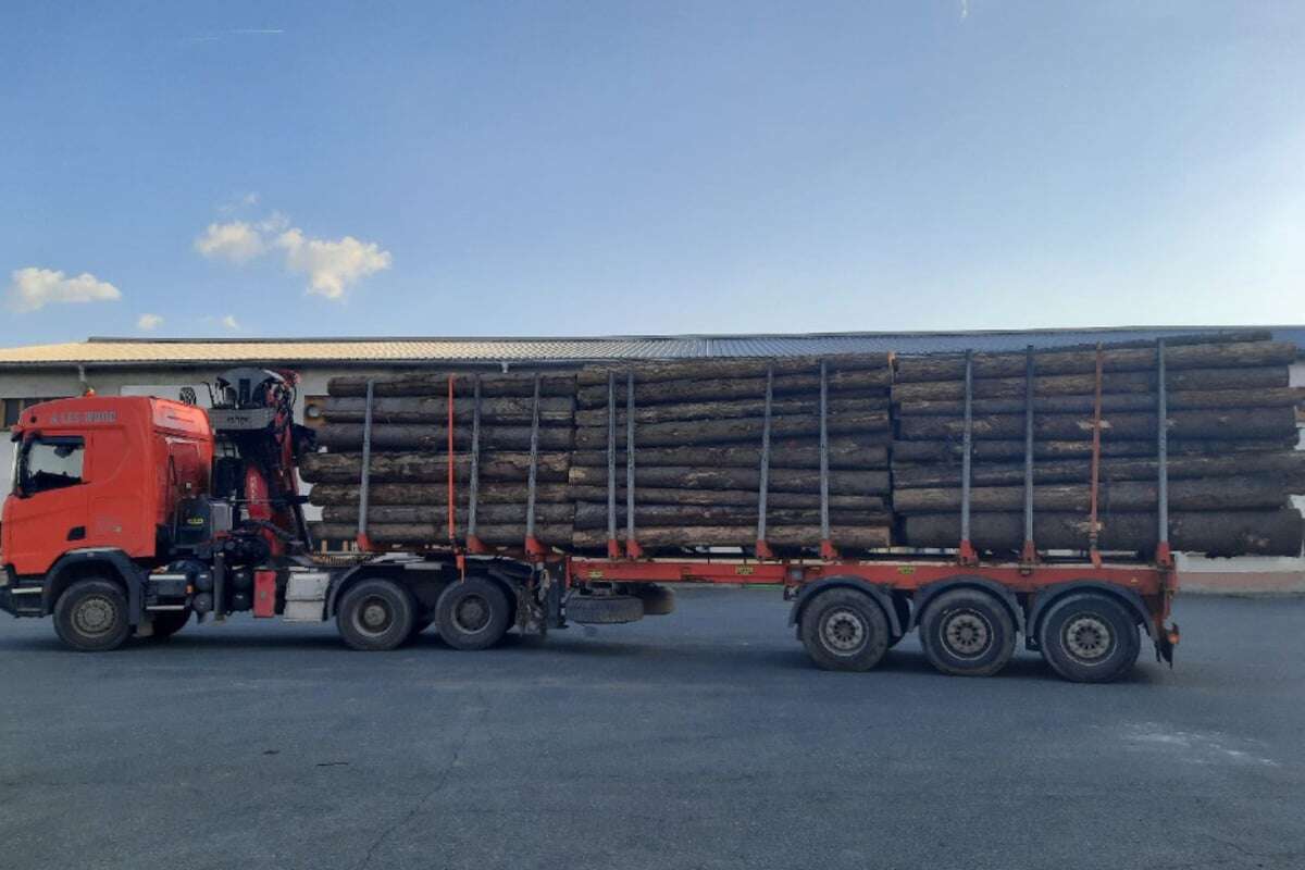 Teure Angelegenheit: Holzlaster mit über 38 Prozent Mehrgewicht unterwegs