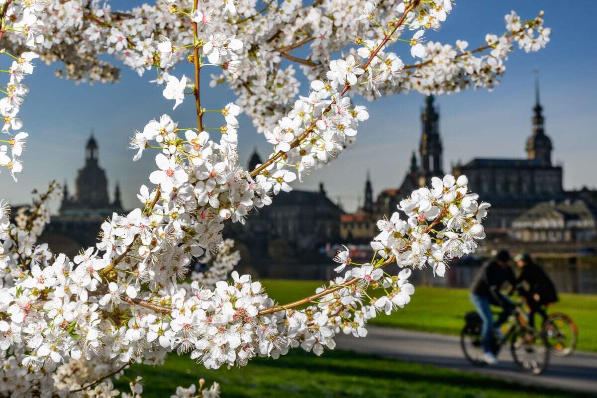 Sonne satt in Sachsen! Der Frühling hat ab nächster Woche einiges vor