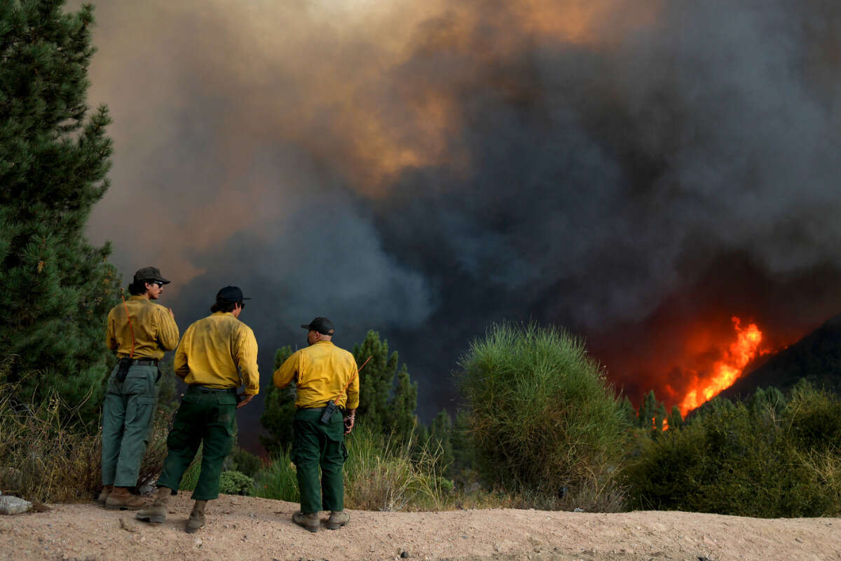 Waldbrand breitet sich schnell aus: Tausende fliehen vor heftigem Feuer