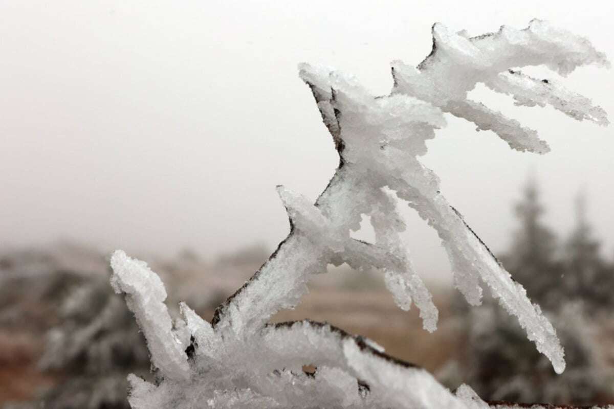 Kurzzeitiges Winter-Wunderland: Erster Frost auf dem Brocken