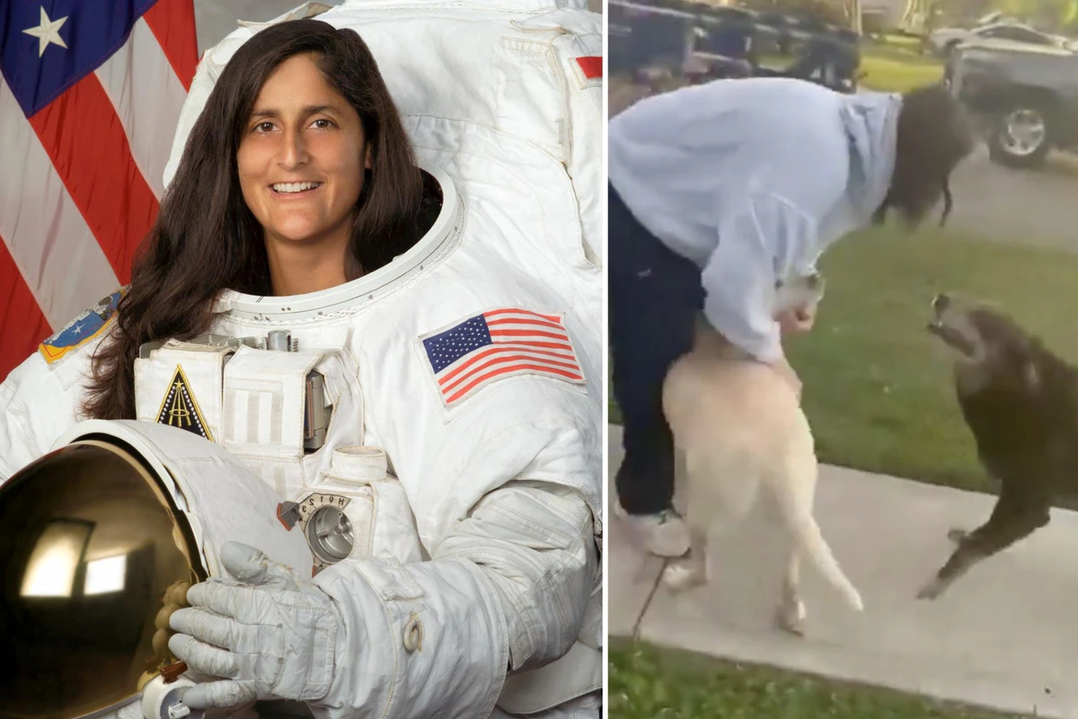 Nach 9 Monaten im All: Astronautin feiert rührendes Wiedersehen mit ihren Hunden