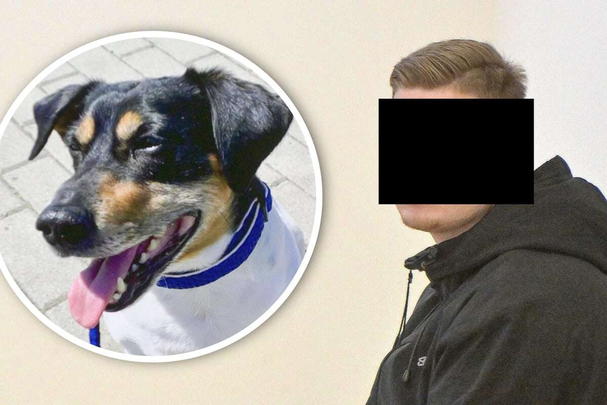 Weil Hund mit ins Bett durfte: Max erschlägt Vierbeiner seiner Freundin!