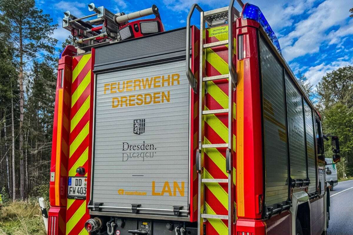 Unfall in der Dresdner Heide: Kleinwagen landet in Straßengraben