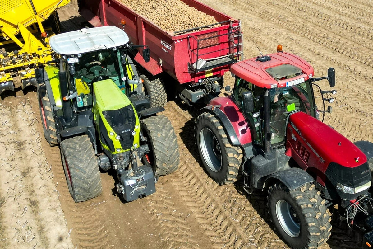 Studie warnt: Geplante Reform könnte ostdeutsche Landwirtschaft hart treffen