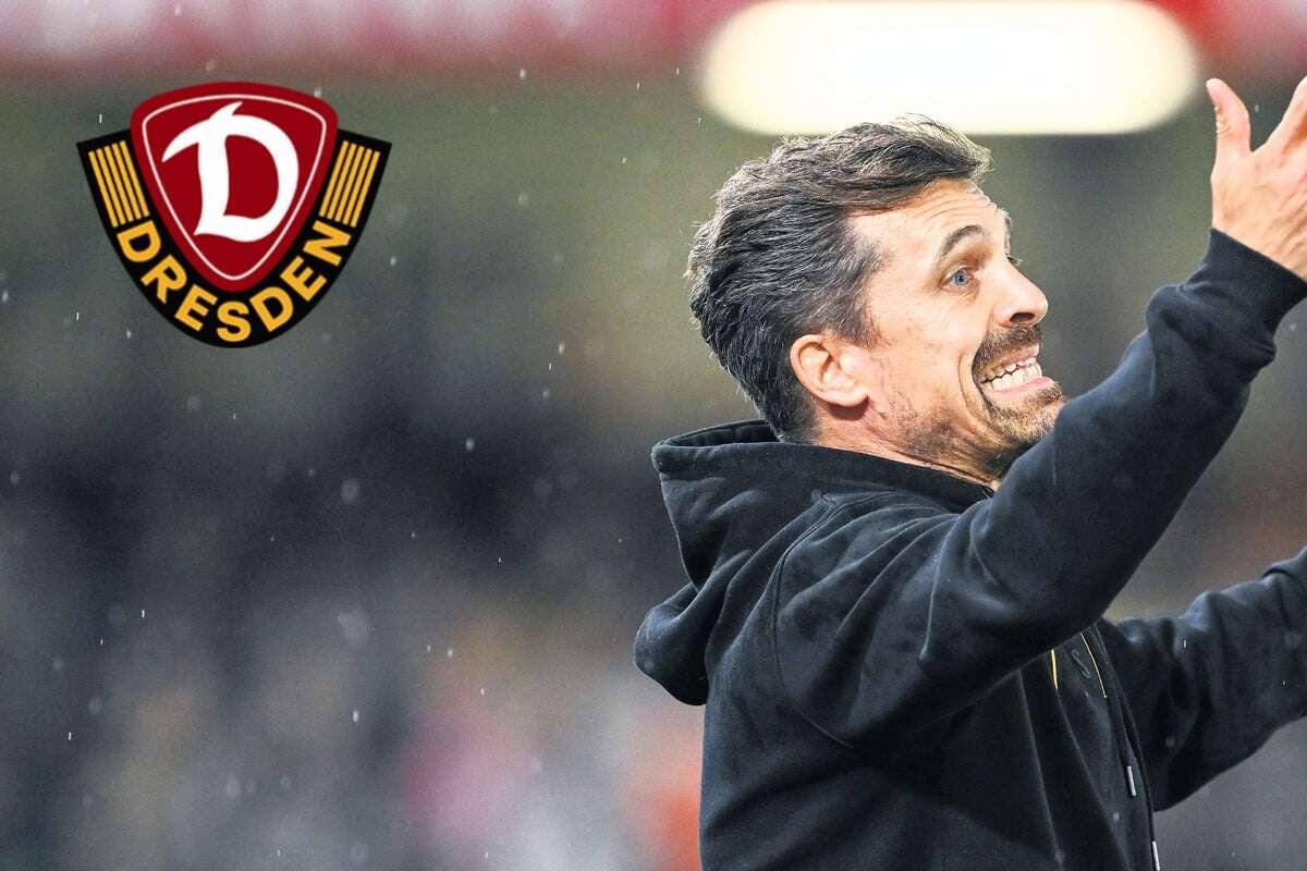 Trotz Platz eins: Dynamo-Coach Stamm mit Punkteschnitt noch nicht zufrieden