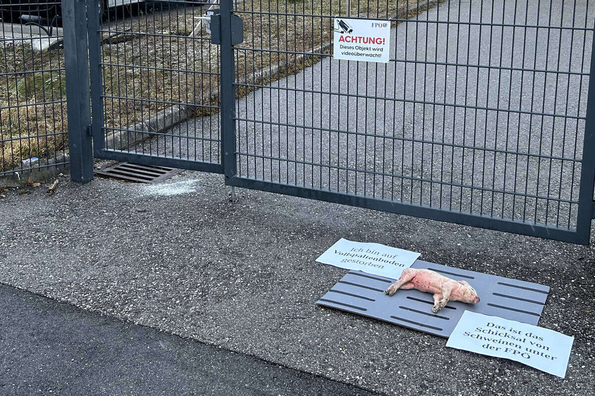 Geht dieser Protest zu weit? Totes Tier vor Parteizentrale gefunden