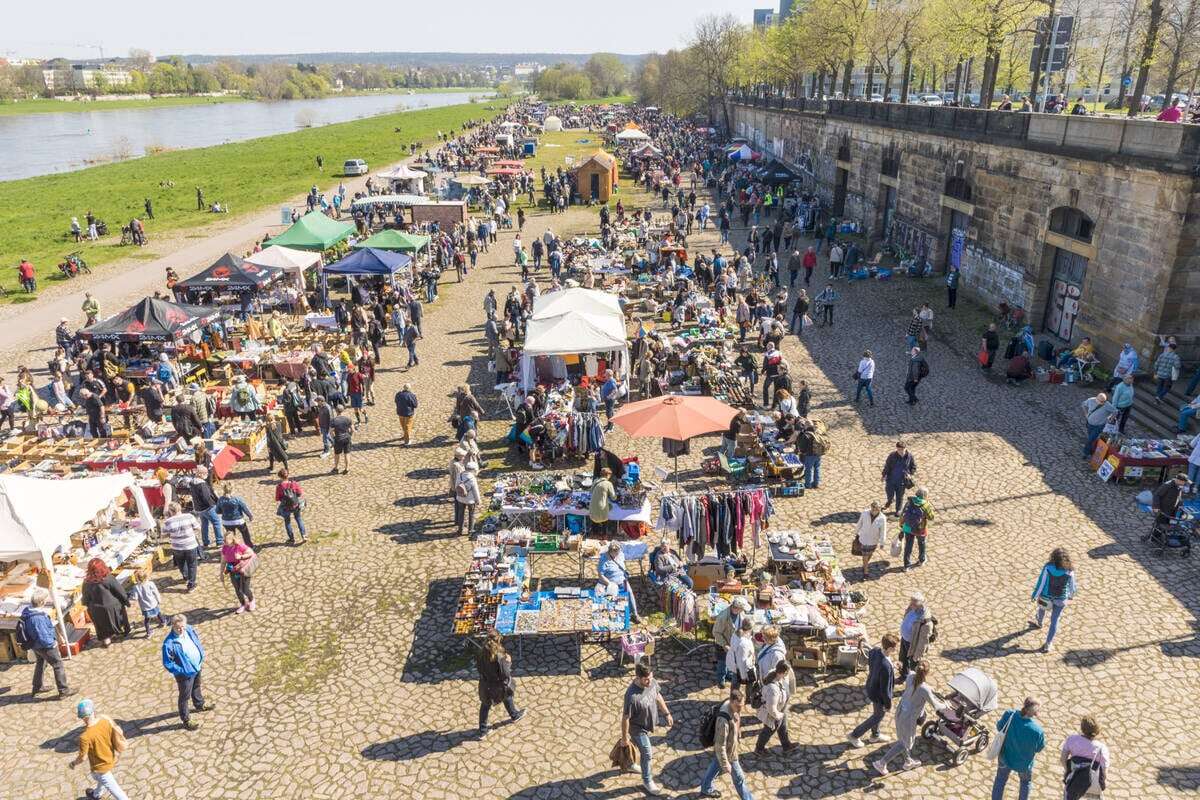 Elbeflohmarkt rüstet auf: Diese Neuerung wartet auf alle Trödler!