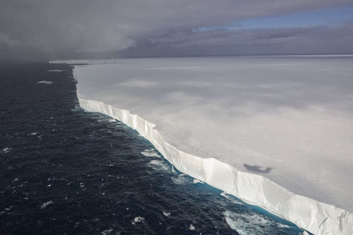 Gigantischer Eisberg driftet auf Insel zu: Viele Tiere in Gefahr