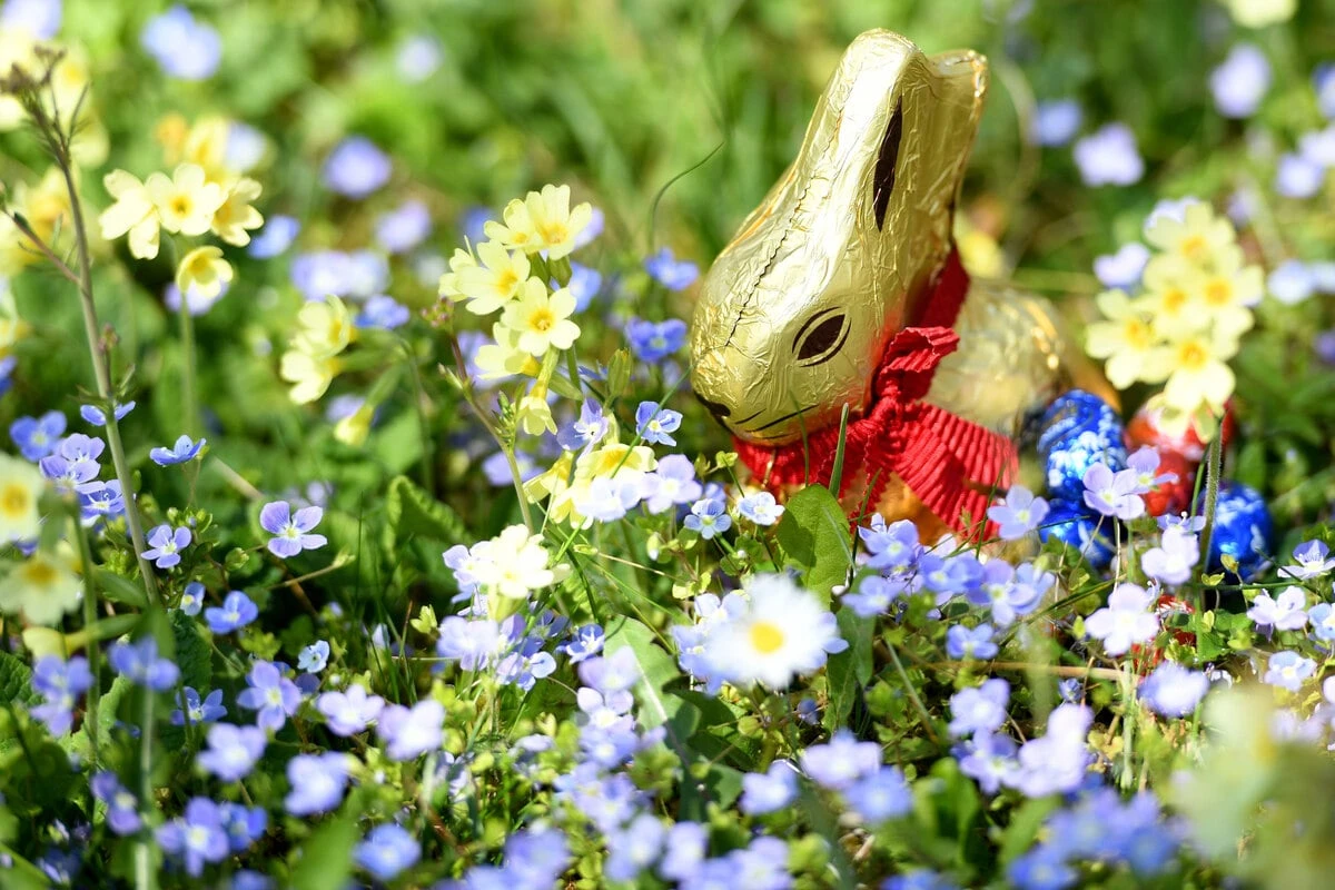 Osterhasen immer teurer - und wie geht's Schoko-Herstellern in Ostdeutschland? 