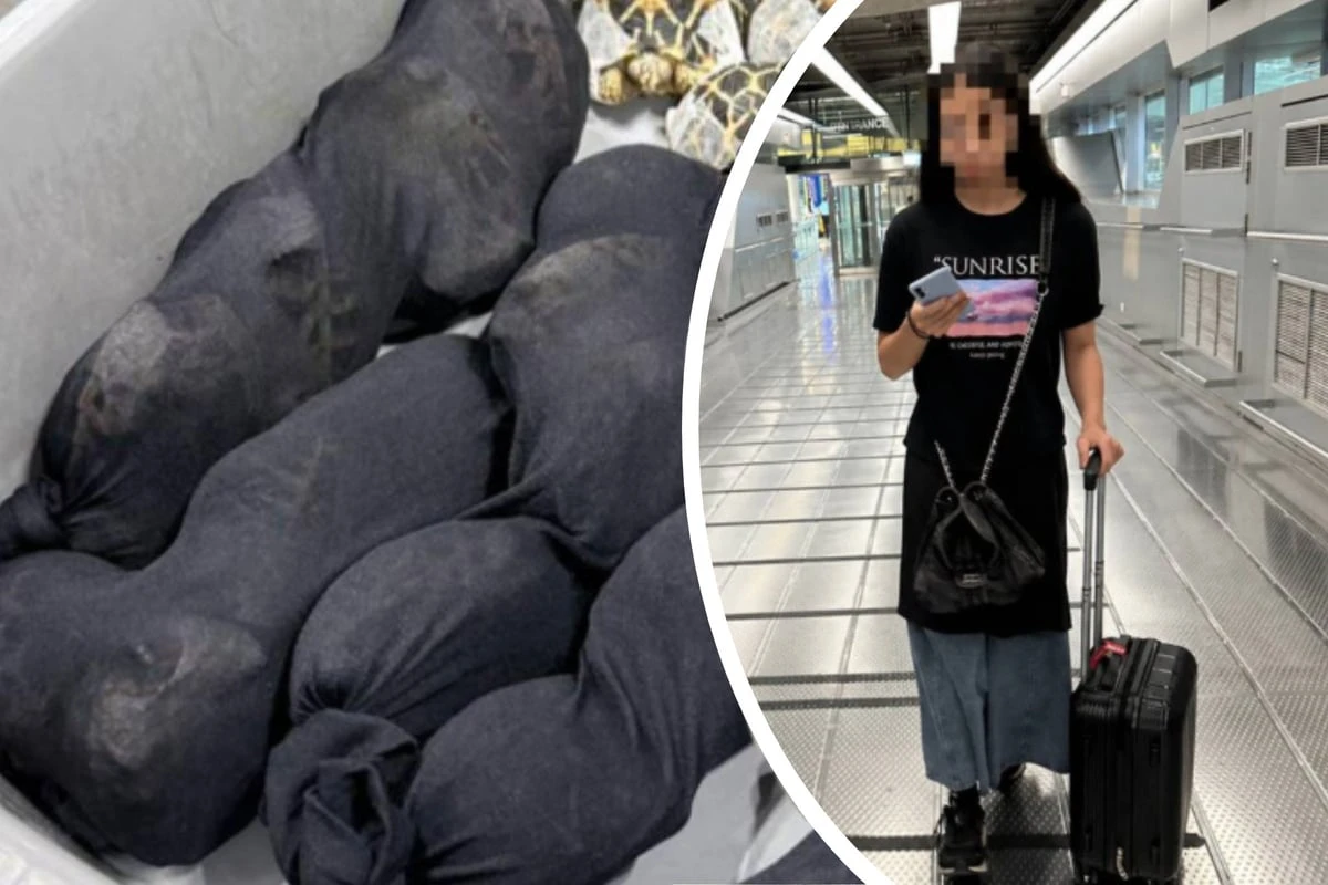 Frau bewegt sich komisch: Als sie im Security-Check am Flughafen kontrolliert wird, ist klar, wieso