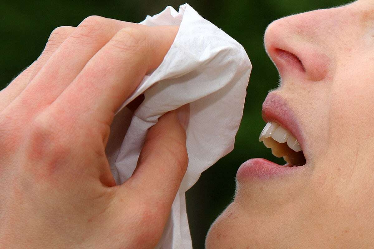 Hatschi! Pollen-Saison geht los - oder doch nicht?