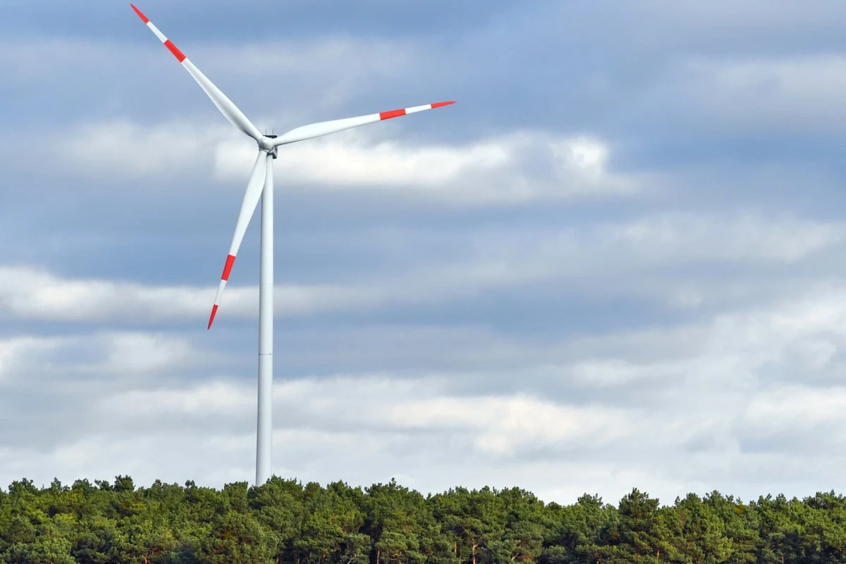 Naturschutzbund will keine Windkraftanlagen in Sachsens Wäldern