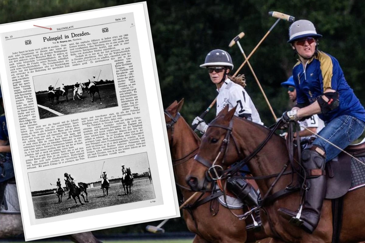 Vom Katamaran aufs Pferd umgesattelt - Dresdner Polospieler träumt vom Meistertitel