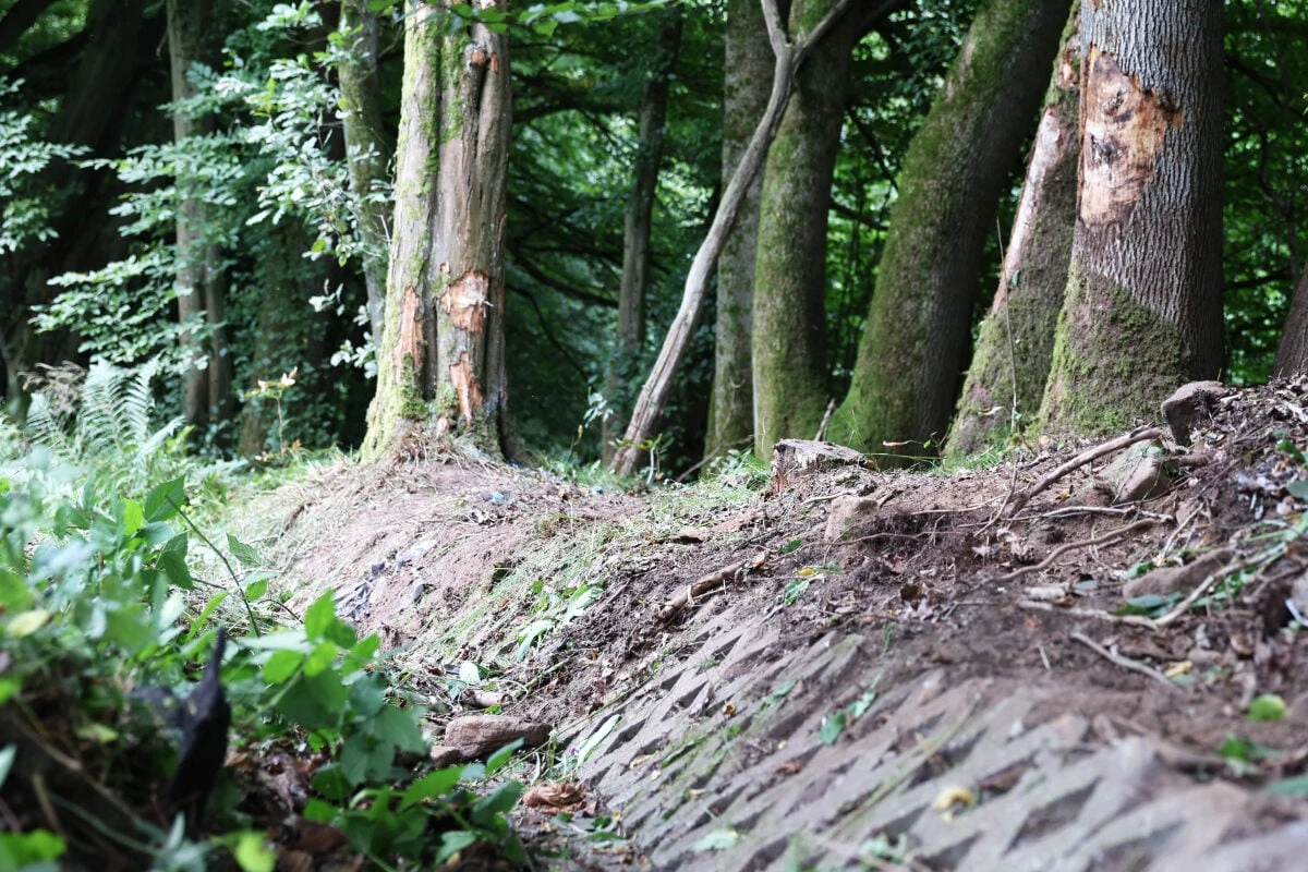 Tödlicher Unfall: Auto kracht rund 30 Meter weit in Wald, zwei Ehepaare sterben