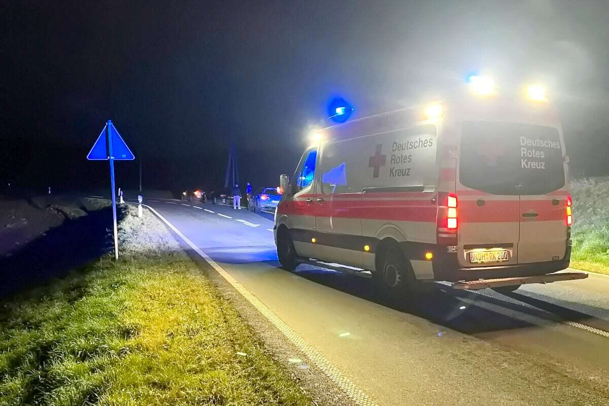 Bizarrer Polizeieinsatz: Betrunkener klettert auf Motorhaube – und wird schwer verletzt