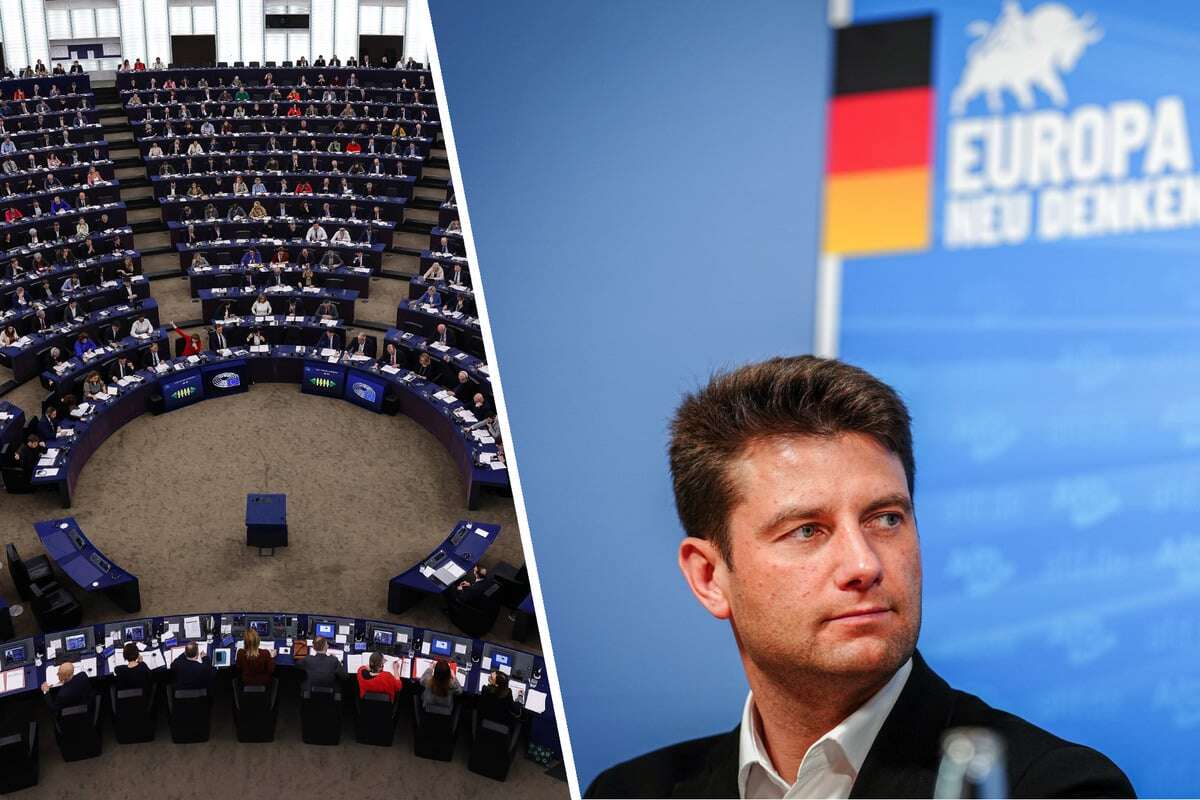 AfD vor Gründung einer neuen EU-Fraktion: So soll sie heißen!