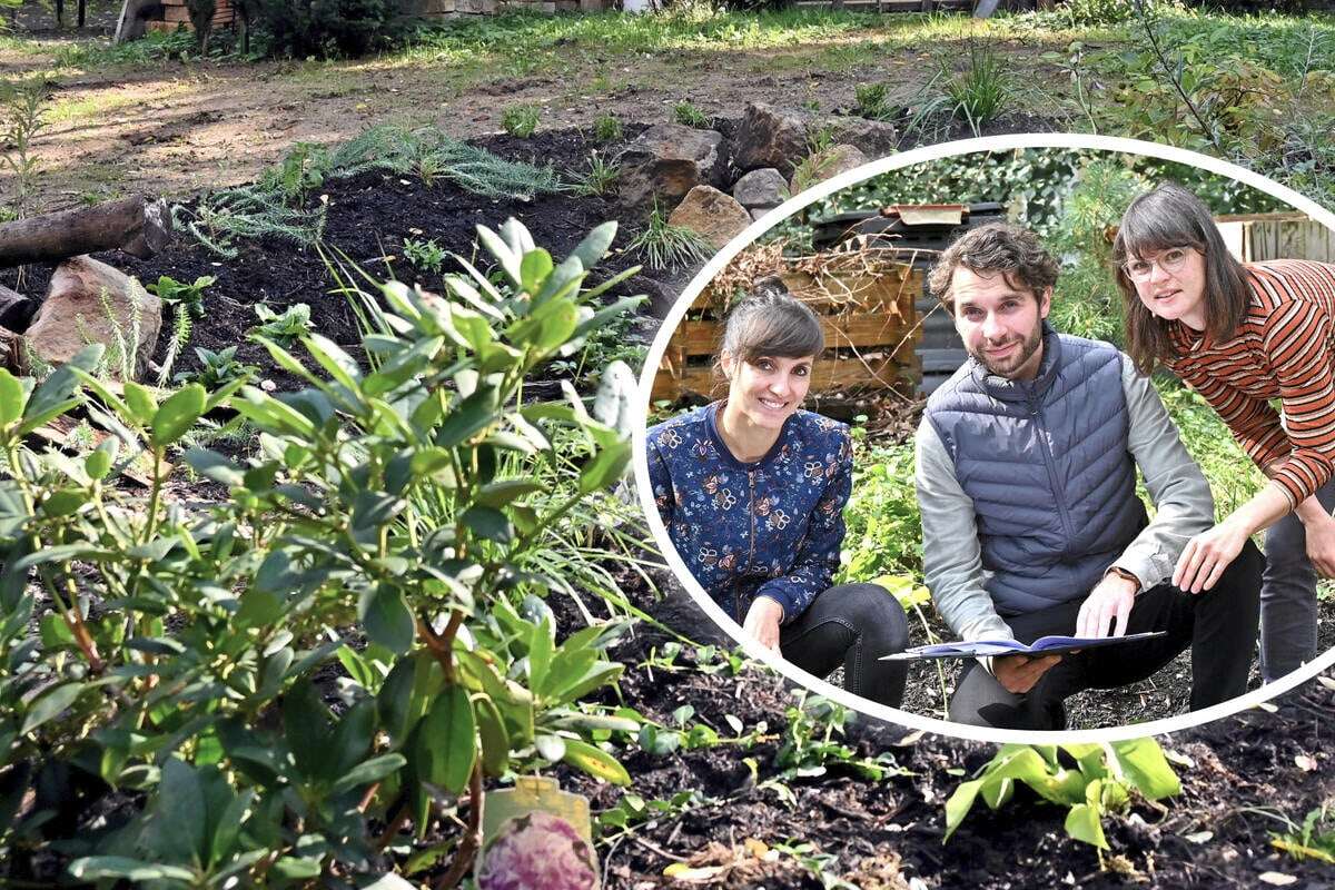 Mulde soll helfen: Hier wird Dresden zur Schwammstadt