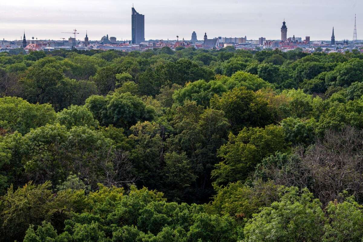 Was ist aus dem Leipziger Auwald-Vorhaben des Freistaats Sachsen geworden?