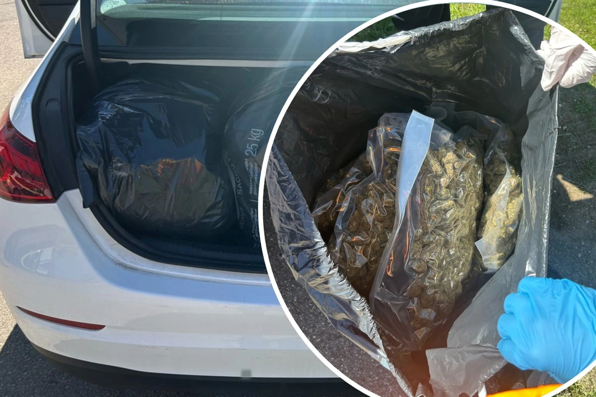 50 Kilo Marihuana im Mercedes: Schmuggler nennt Riesen-Fund 