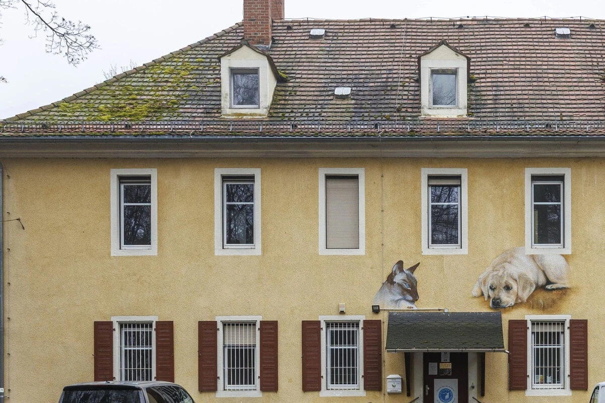 Tattoos für Tiere: Dresdner Studio sammelt Spenden für das Tierheim Freital